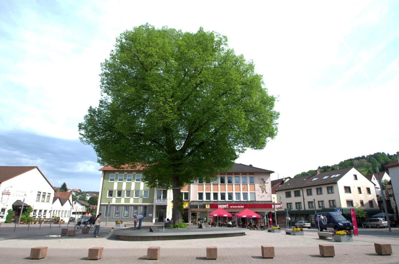 Landhotel Spessartruh Frammersbach Esterno foto